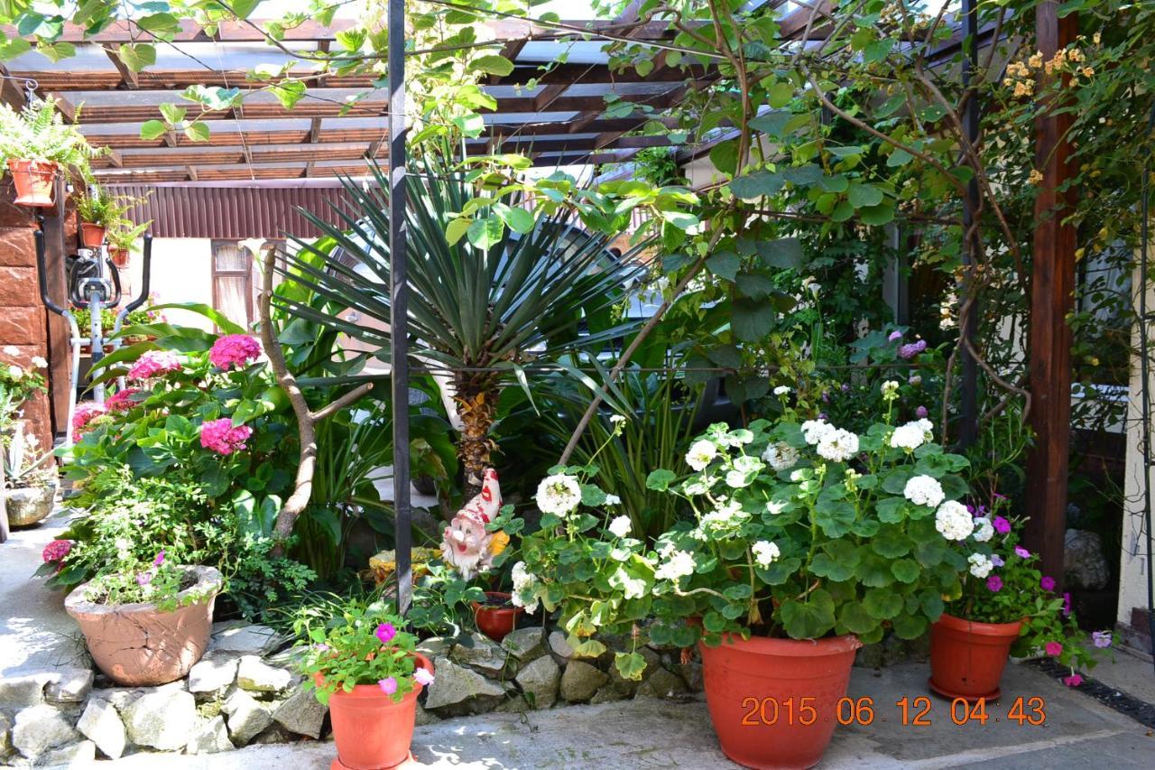 U Palycha Guest House ซุคุม ภายนอก รูปภาพ